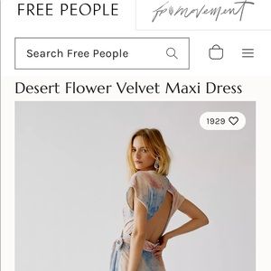 🌿Free People Desert Flower Velvet Maxi Dress🌿